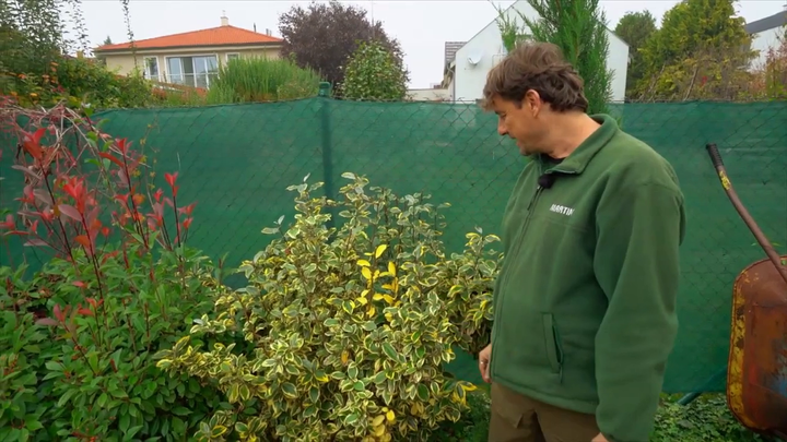 Nova zahrada - hlošina